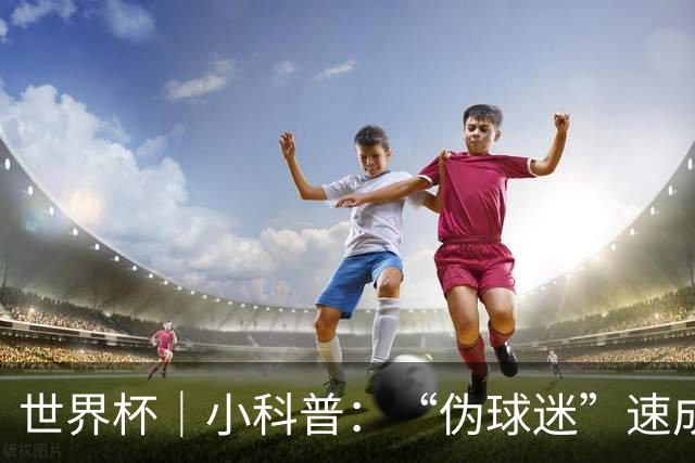 世界杯｜小科普：“伪球迷”速成手册